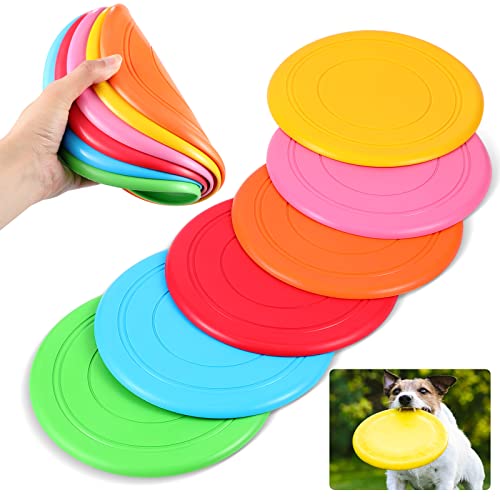 How to Buy Best Rubber Frisbees 2024, Reviewed by Experts