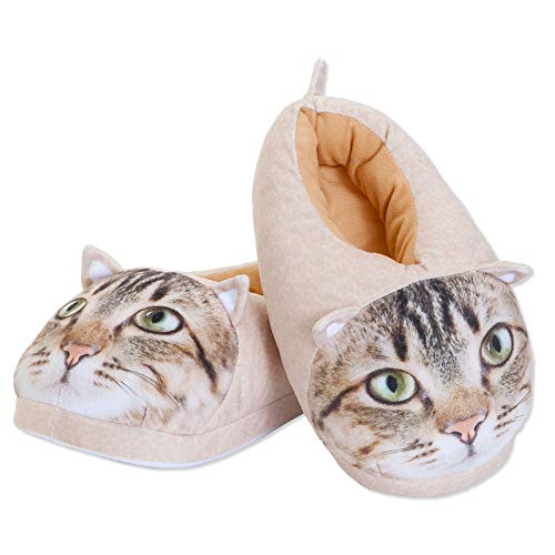 What's the Best Llbean Cat Slippers Recommended by an Expert