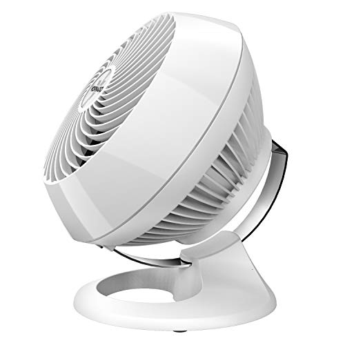 What's the Best Vornado Vs Lasko Recommended by an Expert