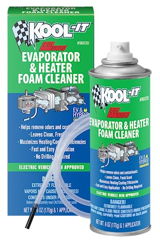 Top 10 Picks Best Lubegard Kool It Foam Cleaner for 2024